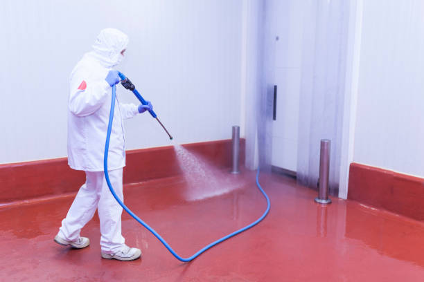 Best Rust and Stain Removal in Avon By The Sea, NJ